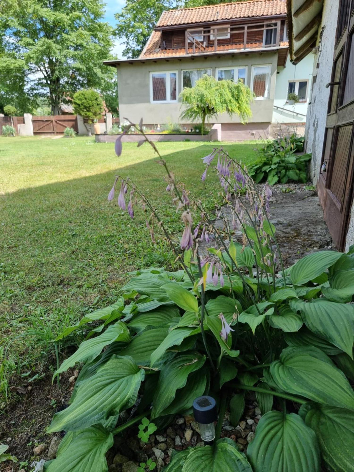 Agroturystyka Nienasycenie Brzezno Lynskie Exterior foto